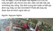Hàng trăm người truy tìm cháu bé bị chó dại cắn và cái kết có hậu