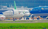 Tạm dừng xem xét thành lập hãng hàng không mới