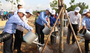 Tết trồng cây nhớ ơn Bác Hồ