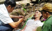 Quảng Bình: Cùng bố vợ vào rừng đốt ong lấy mật, con rể bị ong đốt nguy kịch