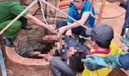 Phú Yên: Tảo giếng bị ngạt khí, 2 người chết