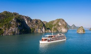 Du lịch Việt bật dậy sau Covid-19: Thiên đường ẩm thực, nghỉ dưỡng