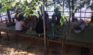 Sau khi phạt chủ quán, tìm 50 khách hàng tới ăn nhậu trong dịch Covid-19 để xử lý