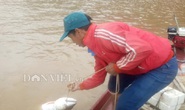 Tận mắt thấy cá măng khủng theo tay cao thủ rời... mặt nước!