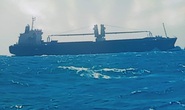 Vụ đâm chìm tàu cá của ngư dân Bình Thuận: Tàu hàng của Philippines đền 45.000 USD