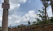 Hàng loạt chủ rừng kê khai tăng diện tích, chiếm đoạt tiền tỉ