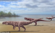 Quái vật cá sấu lai khủng long bạo chúa, dấu chân như người ở Hàn Quốc