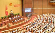 Quốc hội sẽ biểu quyết thông qua nhiều nghị quyết, dự án luật