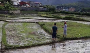 Thảm án kinh hoàng, 3 người tử vong với nhiều vết thương