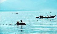 Tàu cá va chạm ghe câu mực giữa đêm, 1 người chết, 1 mất tích