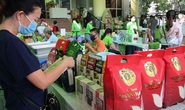 Lại lo bí đường xuất khẩu gạo