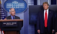 Covid-19 càn quét nước Mỹ, Tổng thống Trump không tha người nhà