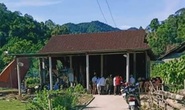 Trèo cây lấy mật ong, người đàn ông bị ngã tử vong