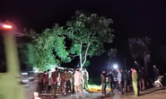 Xác định nguyên nhân vụ tai nạn thảm khốc làm 8 người chết ở Bình Thuận