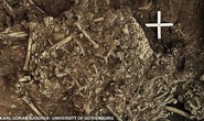 Mộ cổ cô gái 5.000 tuổi chết cùng sinh vật gây ám ảnh hàng ngàn năm
