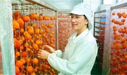 Lấy lại uy tín cho dâu tây, trái hồng Đà Lạt
