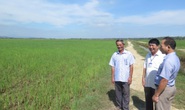 Dân tin vì cán bộ đã làm gương