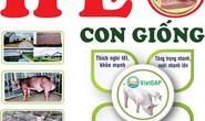 Con giống tốt, thịt heo chất lượng