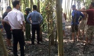 Chữa cháy rừng keo, phát hiện thi thể cụ ông 78 tuổi