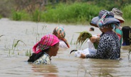 Dự án hồ thủy lợi ngàn tỉ gây nhiều hệ lụy
