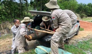 Quảng Nam- Quảng Trị: Đào móng nhà, phát hiện quả bom khủng