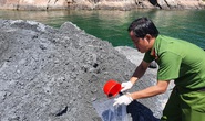 Đổ trộm chất thải xuống biển Đà Nẵng, doanh nghiệp bị phạt 752 triệu đồng