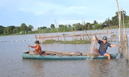 Miền Tây ngóng lũ