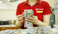 4,7 tỉ USD kiều hối chuyển về TP HCM