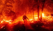 Hoả ngục bất thường ở Mỹ: Lốc xoáy lửa liên tiếp, cột khói cao khủng khiếp