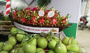Thanh long, bưởi, dừa rộng cửa sang EU