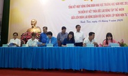 Quận Bình Tân, TP HCM: Giáo viên mầm non tư thục được hưởng nhiều phúc lợi