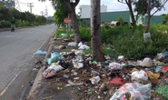 Gốc cây không phải là bãi rác