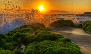 Đến ghềnh Nam Ô mùa vắng rêu