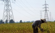 Công ty Trung Quốc tham gia vận hành lưới điện quốc gia Lào