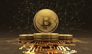 Triệu phú Bitcoin tuyệt vọng vì quên mật khẩu ví điện tử