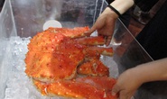Nhập tôm hùm, cua hoàng đế về bán Tết