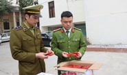 Bắt 1,2 tấn hồng sấy dẻo nhập lậu, món ăn đắt hàng dịp Tết Nguyên đán