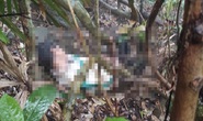 Phát hiện thi thể người đàn ông dưới vực sâu ở bán đảo Sơn Trà