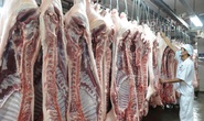 Giá heo hơi tăng thêm 2.000 đồng/kg chỉ trong 5 ngày