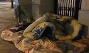 CLIP: Mưu sinh trong đêm rét buốt thấu xương