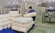 Doanh nghiệp Việt chi 180 tỉ đồng mở nhà máy làm nguyên liệu để sản xuất khẩu trang