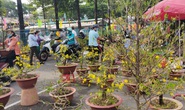 Làm báo cùng Báo Người Lao Động: TP Thủ Đức đón Tết thời Covid-19