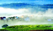 Dưới chân núi Giàng