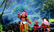 Cành đào phai mang Xuân về