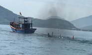 Tàu không người lái chạy lòng vòng, đôi vợ chồng ngư dân chết bất thường dưới biển