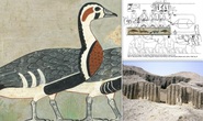 Mona Lisa trong mộ cổ Ai Cập: sinh vật đã biến mất khỏi Trái Đất