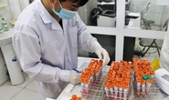 NÓNG: Phát hiện 1 giáo viên ở Hưng Yên dương tính với SARS-CoV-2
