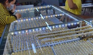 Giá vàng hôm nay 13-3: Vàng SJC tăng giá mạnh