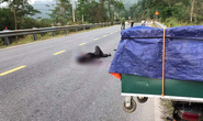 Thanh niên chết bất thường giữa đường ở Quảng Nam: Do tai nạn giao thông