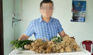 Úm ba la tam thất, điền trúc thành sâm Ngọc Linh!
